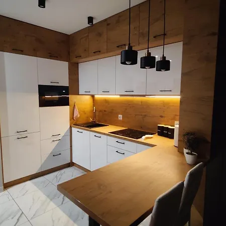 Przy Parku Slaskim 아파트 *